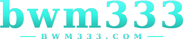 bwm333 logo